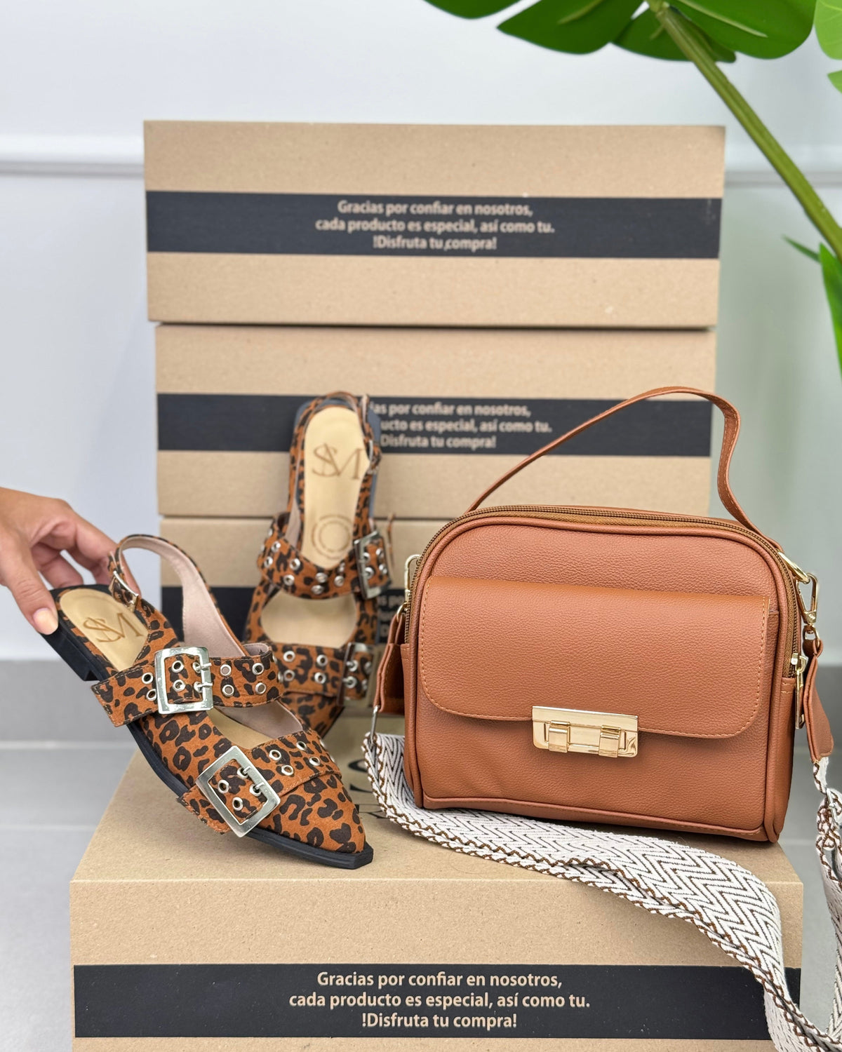 COMBOS BALETAS + BOLSOS